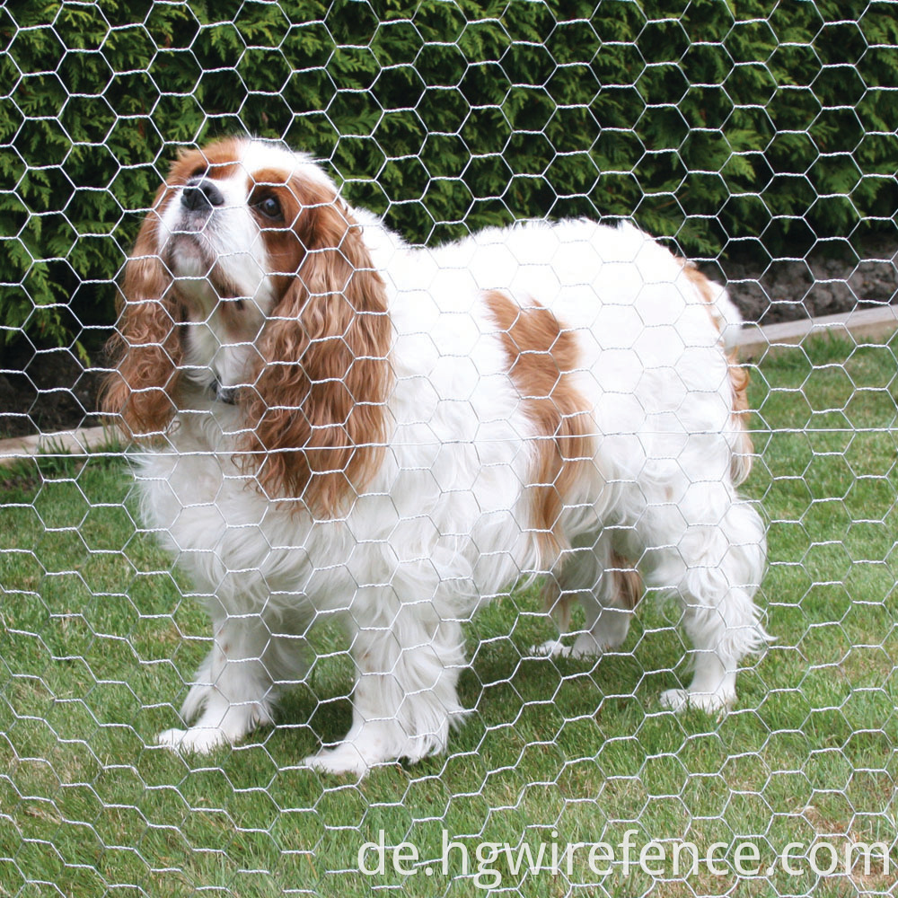  Hexagonal Wire Mesh Chicken Cage